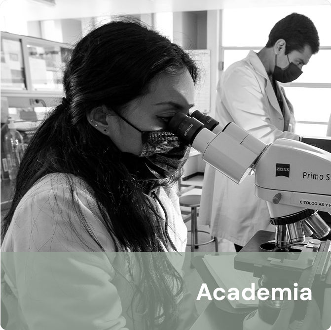 Academia