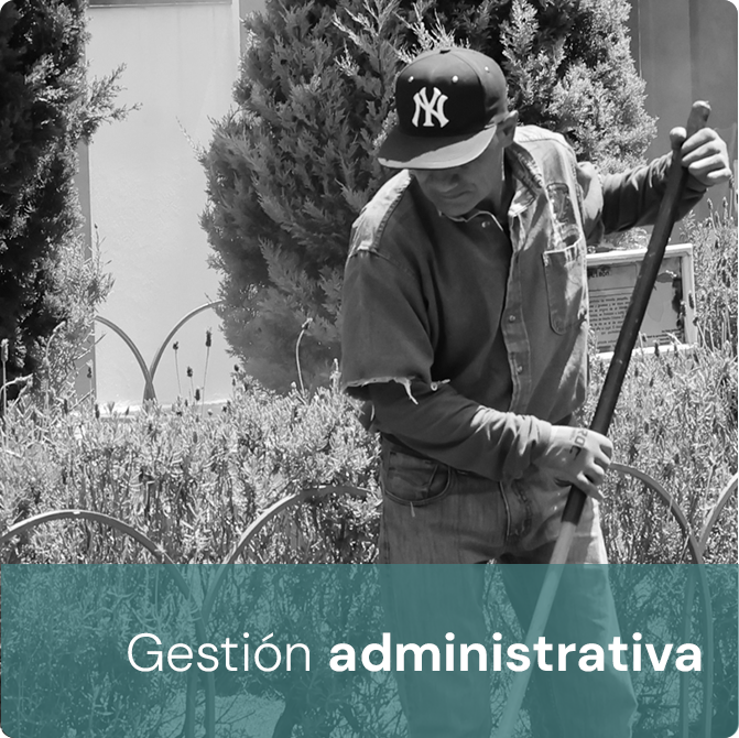 Gestion