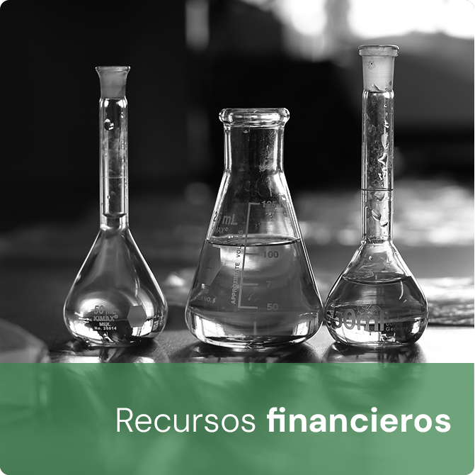 Recursos financieros